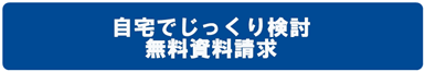 AIG損保　資料請求