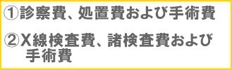 お支払いする保険金1